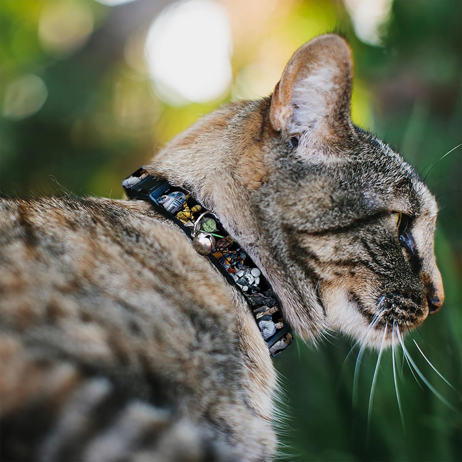 81MM2t+RURL._AC_SL1500_