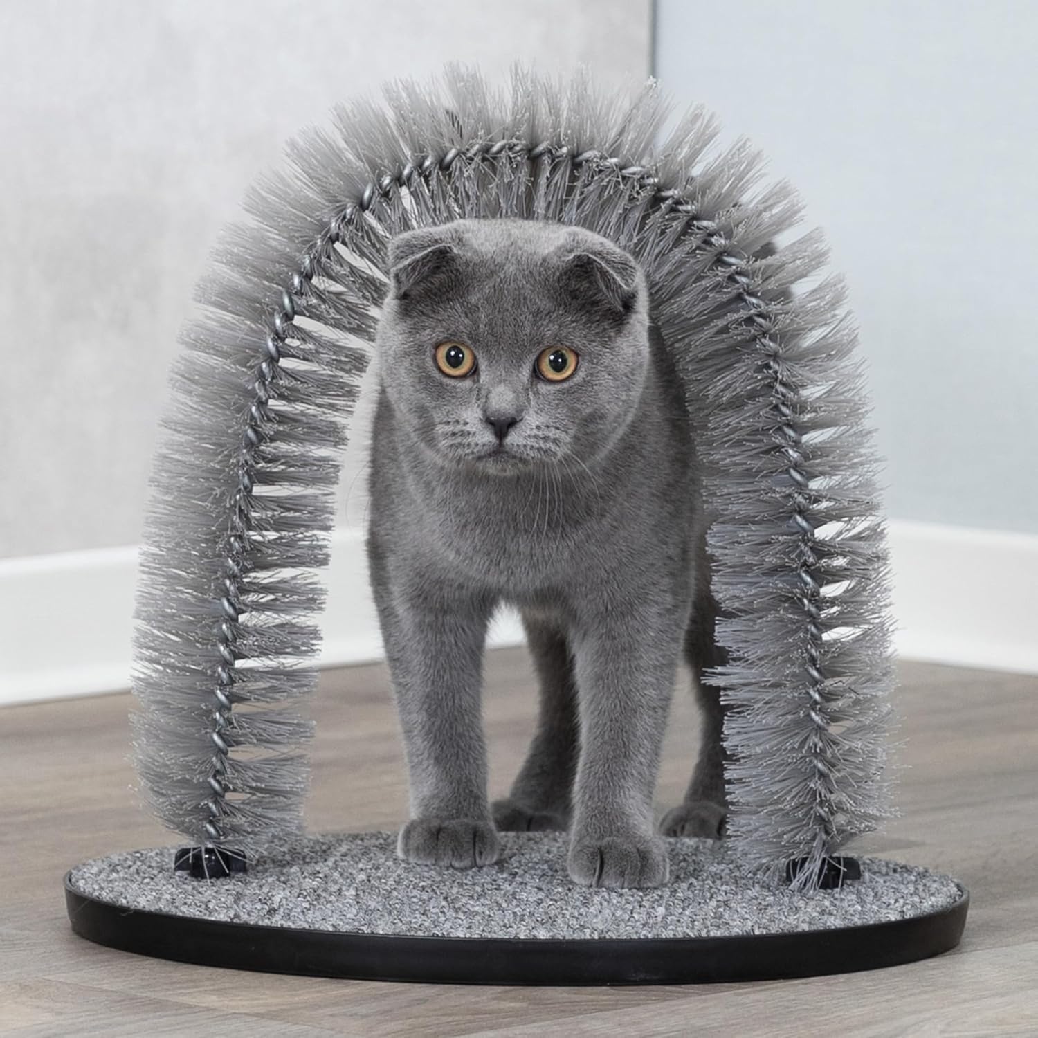 81fTjPsuckL._AC_SL1500_